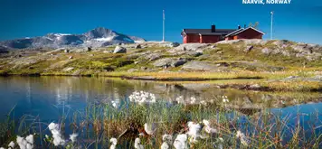 Image related to Narvik