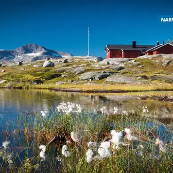 Image related to Narvik - Overnight onboard