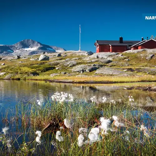 Image related to Narvik