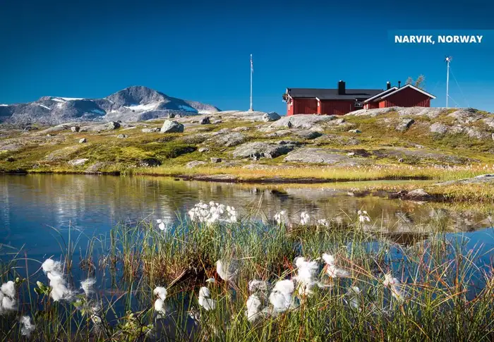 Photo of Day 4: Narvik