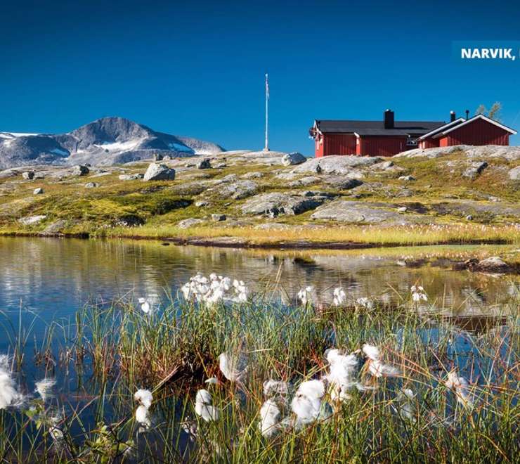 Narvik