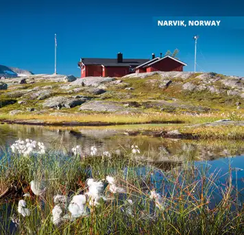 Narvik