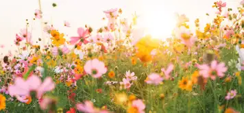 Image related to Le Jardin des Personnalités