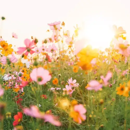 Image related to Le Jardin des Personnalités