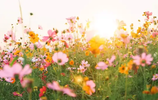 Image related to Le Jardin des Personnalités