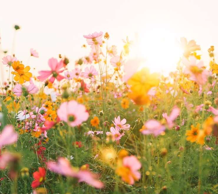 Le Jardin des Personnalités