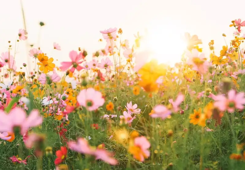 Image related to Le Jardin des Personnalités