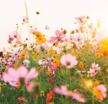 Image related to Le Jardin des Personnalités