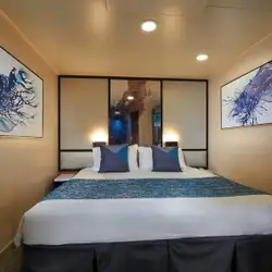 Image related to Solo Inside
