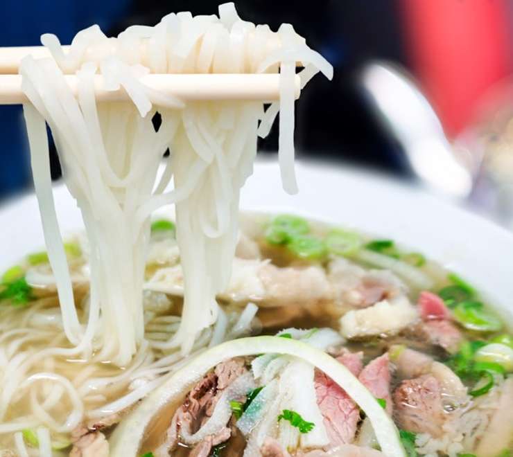 Vietnamese Fusion Food