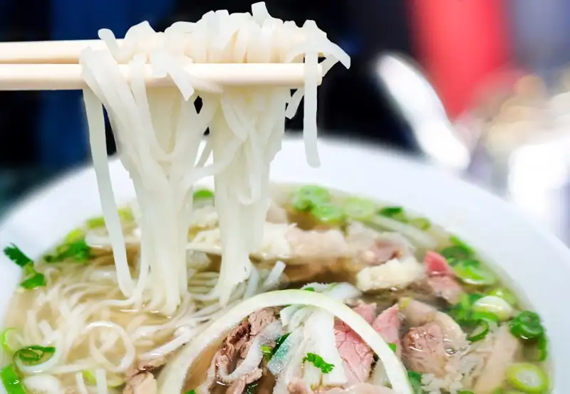 Vietnamese Fusion Food