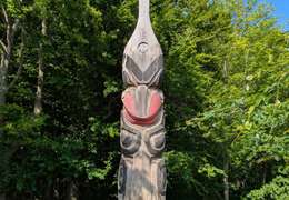 IgluCruise.Application.ViewModels.Shared.WebImageViewModel?.Description