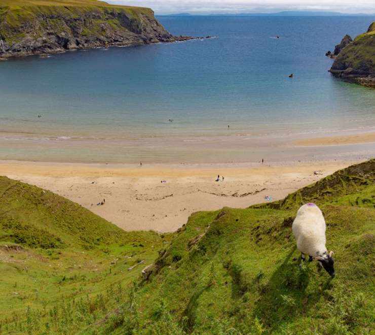 Donegal