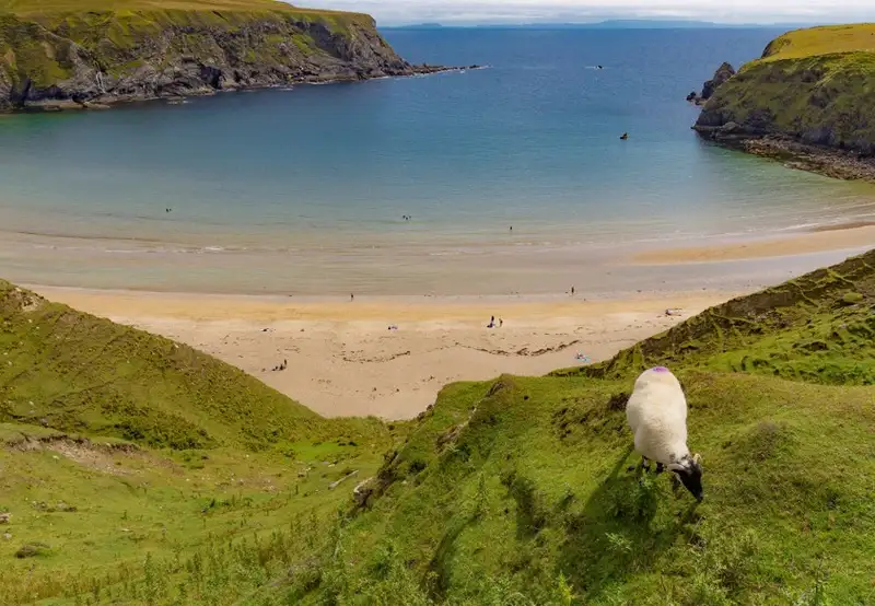 Donegal