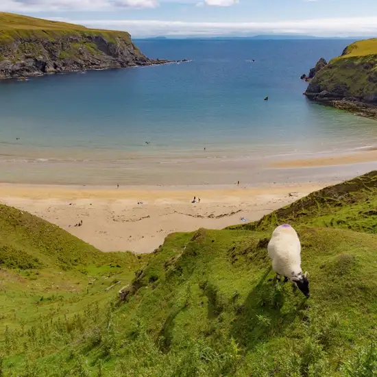 Donegal