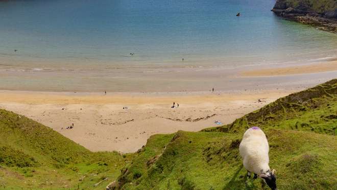 Explore a historic Irish town on a scenic bay, gateway to rugged Atlantic landscapes.