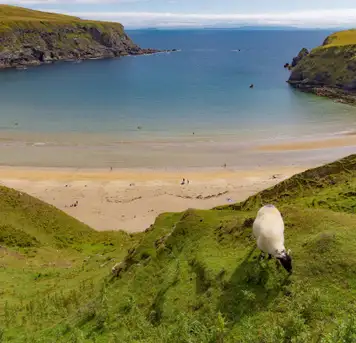 Donegal