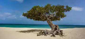 Image related to Image related to Museum