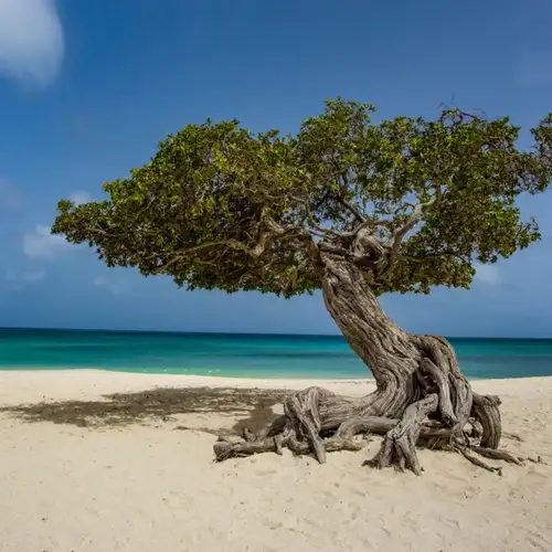 Image related to Image related to Museum