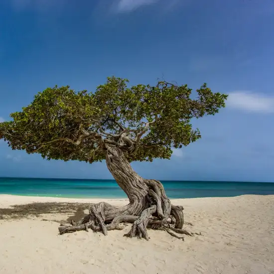 Image related to Image related to Museum