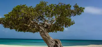 Image related to Museum