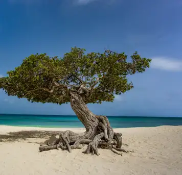 Image related to Museum