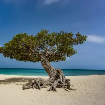 Image related to Museum