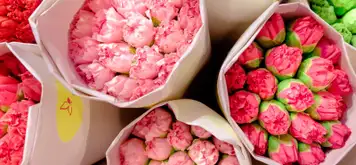 Image related to Bangkok - Flower Market