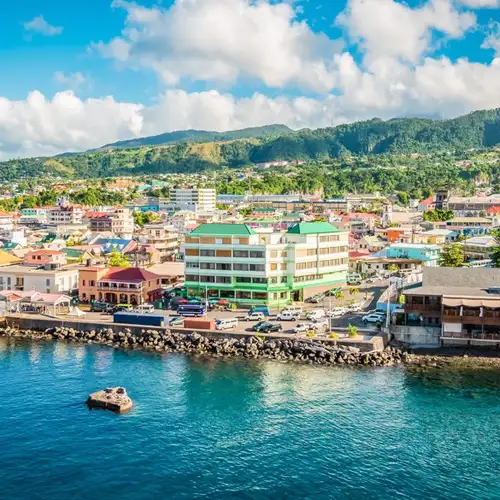 Image related to Roseau