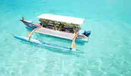 Image related to Boat Tour to Taha’a