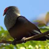 Image related to Guided Wildlife Trek