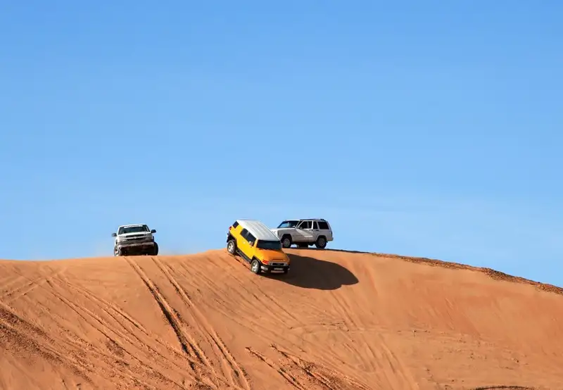 Desert Safari