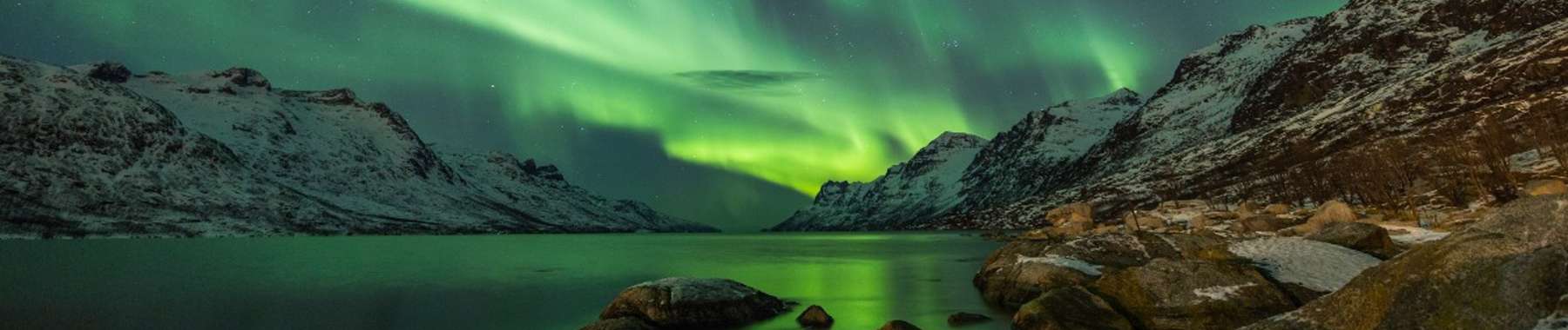 Arctic cruises