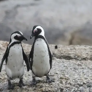 Image related to Sightseeing