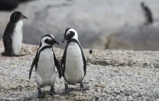 Image related to Sightseeing