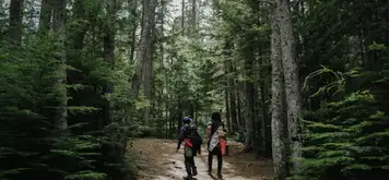 Image related to Liarsville Gold Rush Trail Camp