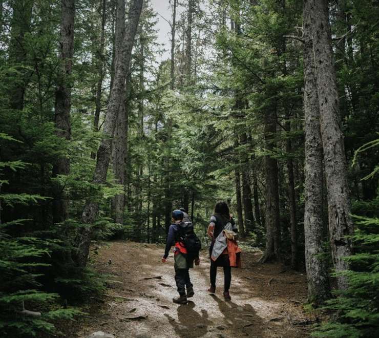 Liarsville Gold Rush Trail Camp