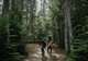 Liarsville Gold Rush Trail Camp