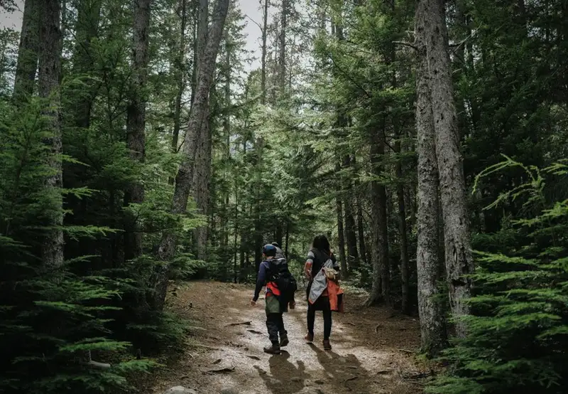 Liarsville Gold Rush Trail Camp