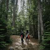 Image related to Liarsville Gold Rush Trail Camp