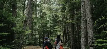 Image related to Liarsville Gold Rush Trail Camp