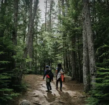 Image related to Liarsville Gold Rush Trail Camp