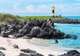 Hike the Rugged Coastline