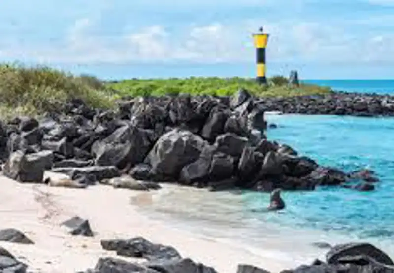 Hike the Rugged Coastline