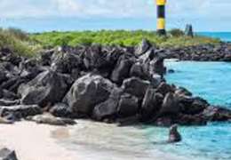 IgluCruise.Application.ViewModels.Shared.WebImageViewModel?.Description