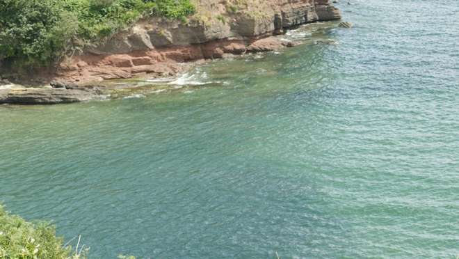 Visit a pretty fishing village on Ireland's 'sunny south-east', gateway to historic Waterford.