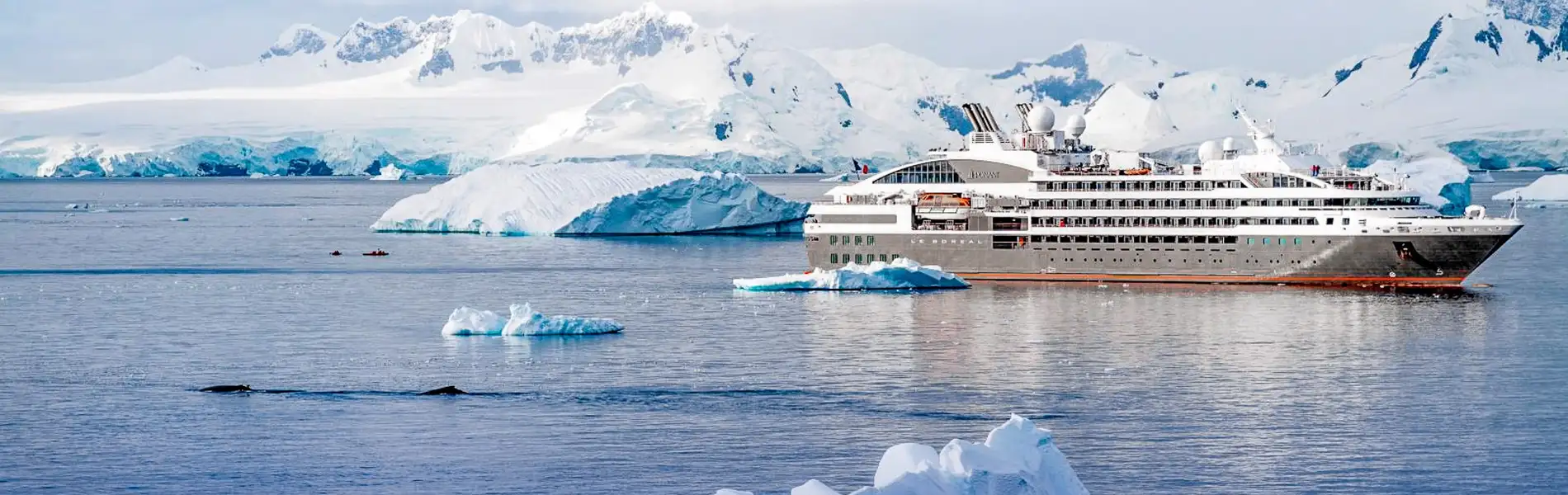 P&O Cruises