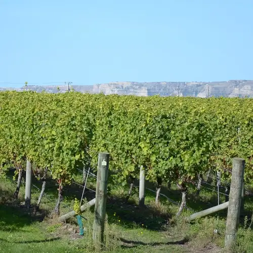 Image related to Napier