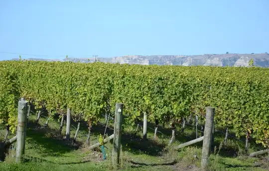 Napier