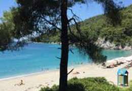 IgluCruise.Application.ViewModels.Shared.WebImageViewModel?.Description